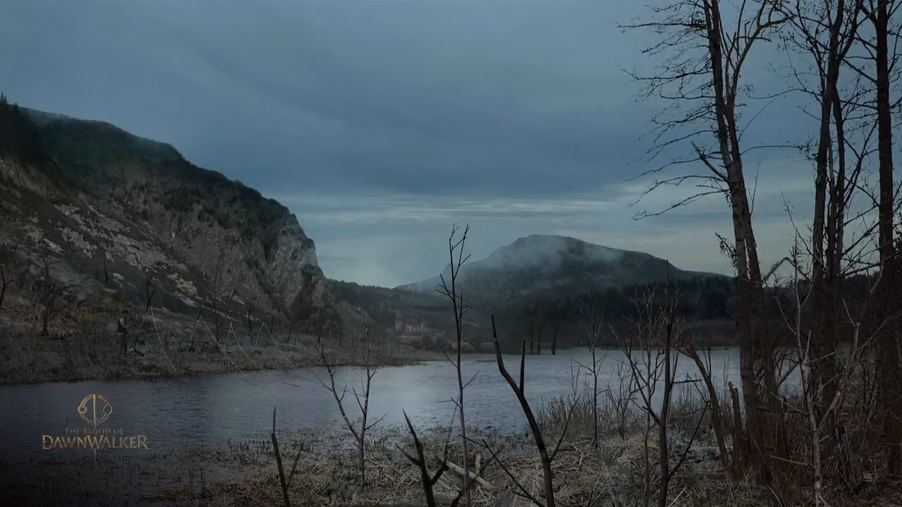 Coen crosses a misty swamp in Vale Sangora